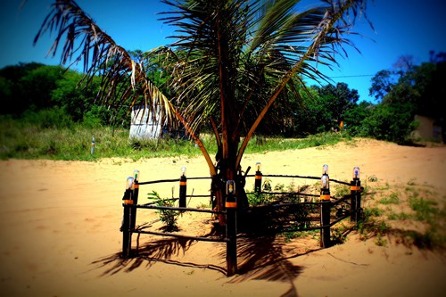 the-drunken-clam-moz (21)